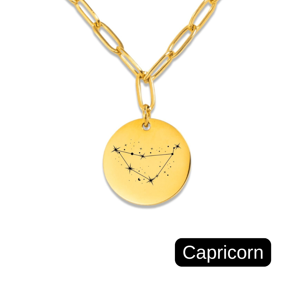 Capricorn Constellation Paperclip Coin Necklace