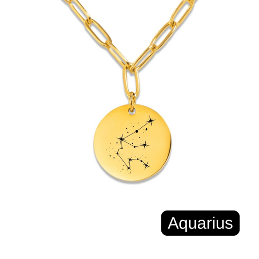 Aquarius Constellation Paperclip Coin Necklace