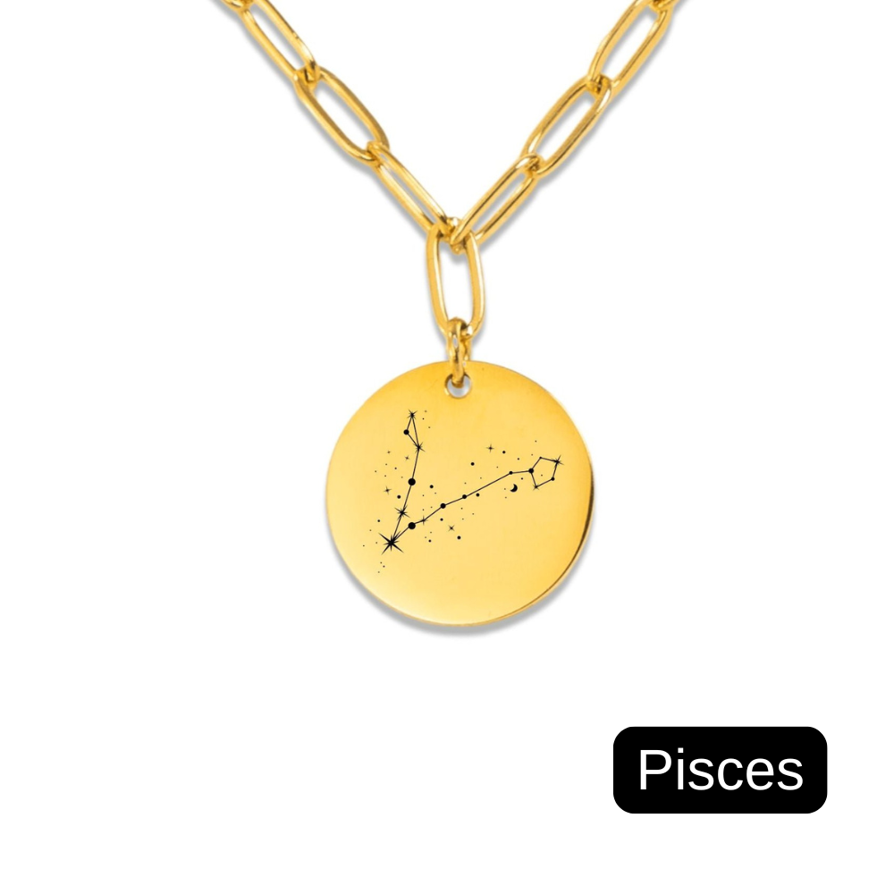 Pisces Constellation Paperclip Coin Necklace