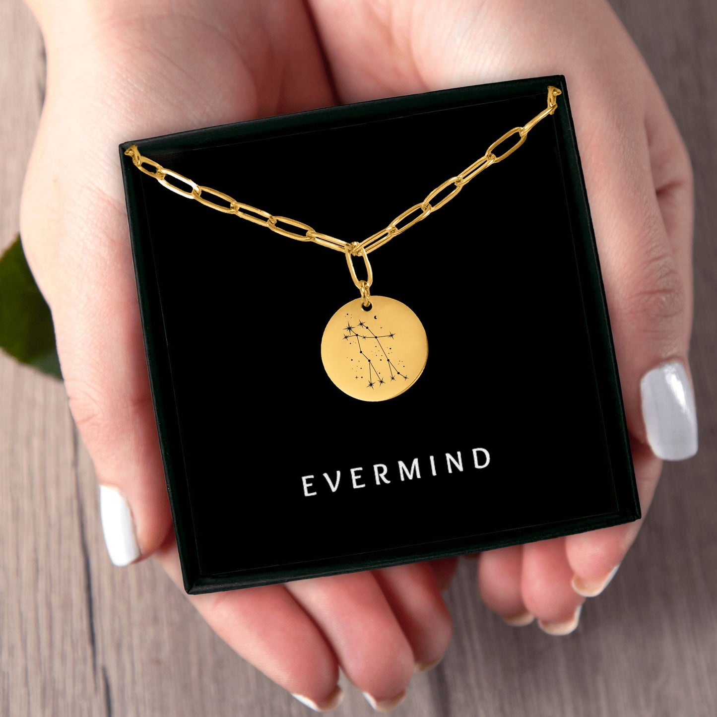 Gemini Constellation Paperclip Coin Necklace